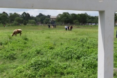 Moving the telescope one last time!