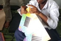 Using NASA spectrographs to study the light of our Sun