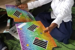 Using NASA spectrographs to study the light of our Sun