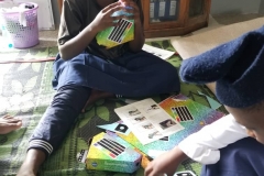 Using NASA spectrographs to study the light of our Sun