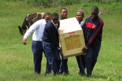 Moving the crates, again!